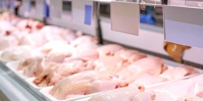 Brasil fecha ano com crescimento em produção, consumo e exportações de carne de frango, carne suína e ovos, aponta a ABPA