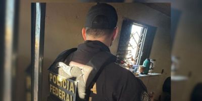 PF deflagra operação contra furtos de bovinos e ovinos no RS