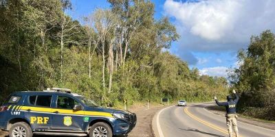 Carga de 800 kg de peixe irregular é interceptada pela PRF em Rio Grande
