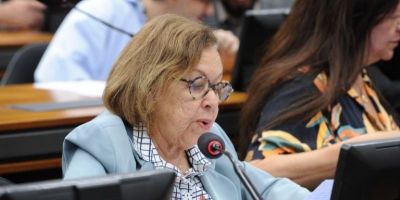 Comissão aprova a inclusão de itens da agricultura familiar em cestas básicas