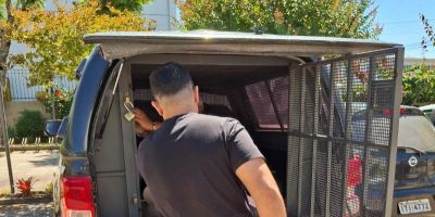 Polícia Civil prende homem por descumprimento de medida protetiva em São Lourenço do Sul