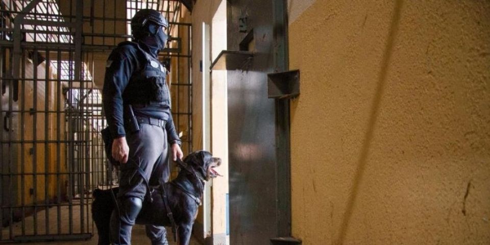 Governo do Estado reforça segurança nas penitenciárias do RS com atuação de cães de trabalho