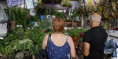 Tradição e fé impulsionam busca por banhos e ervas no fim de ano