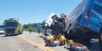 Tragédia na BR-116: colisão entre caminhão e ônibus deixa 11 mortos