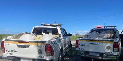 Homem é preso por furtar carga de trigo de caminhão em Canguçu