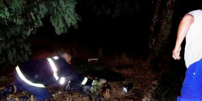 Camaquã - cadela é resgatada de bueiro no bairro Olaria