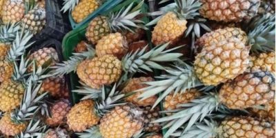 Frutas produzidas no RS têm aumento de consumo no verão