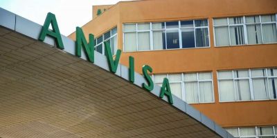 Anvisa manda recolher panetones com fungo