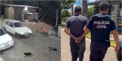 Homem de 31 anos é preso por atropelar e matar propositalmente dois cães em Encruzilhada do Sul