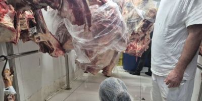 Mais de duas toneladas de alimentos impróprios para consumo são apreendidos no Litoral Norte do RS