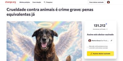  Caso do cão Orelha impulsiona mobilização nacional e soma mais de 160 mil assinaturas por justiça
