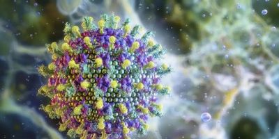 Nipah: saiba mais sobre o vírus que preocupa a Ásia