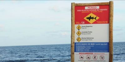 Jovem de 13 anos morre após ser mordido por tubarão no Nordeste