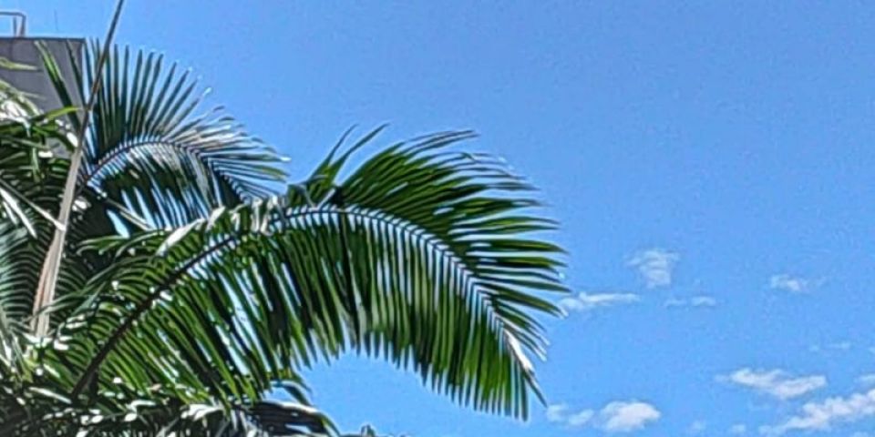 Semana começa com sol e calor em Camaquã