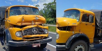 Colisão entre caminhões é registrada na BR-116