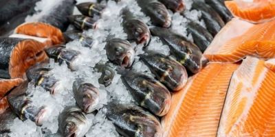 Produtores de Chuvisca podem realizar pedidos por alevinos até o dia 19 deste mês