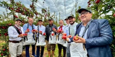 Colheita da maçã é oficialmente aberta no Rio Grande Sul