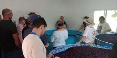 Produção de vinhos é foco de capacitação no interior de Pelotas