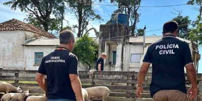 Polícia Civil desarticula esquema que planejava golpe milionário no agronegócio em Amaral Ferrador