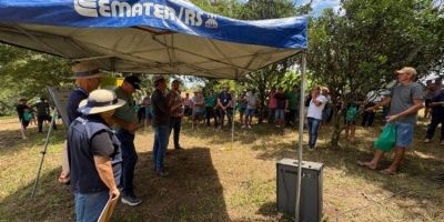Governo gaúcho apresenta resultados do Programa Milho 100% em São Lourenço do Sul