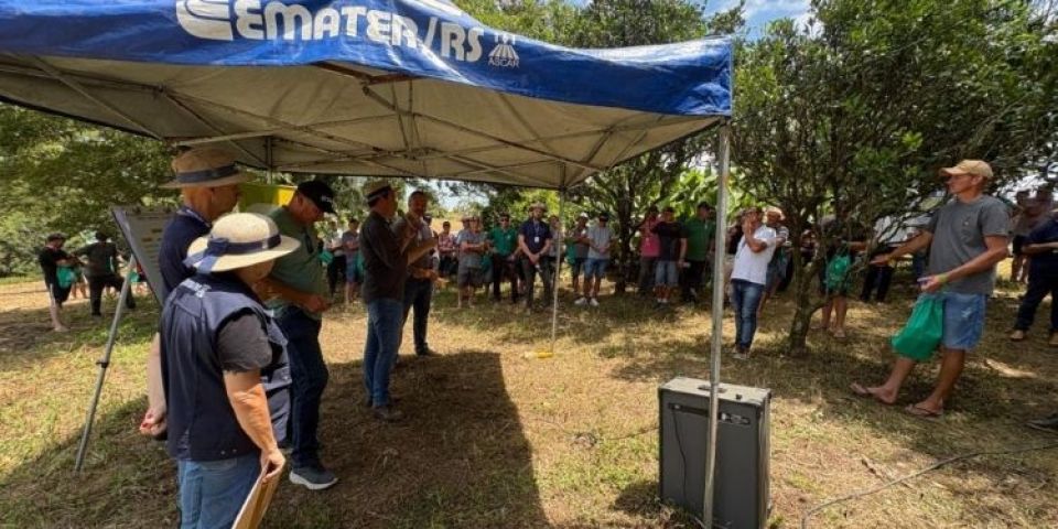 Governo gaúcho apresenta resultados do Programa Milho 100% em São Lourenço do Sul