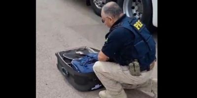 Adolescente é apreendido com 21 kg de maconha na BR-116 em Pelotas