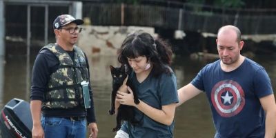 Senado aprova política de proteção a animais resgatados em desastres