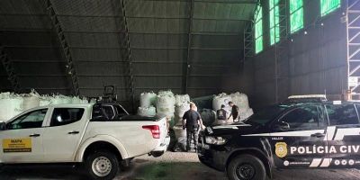 Operação apreende 342 toneladas de sementes irregulares no RS