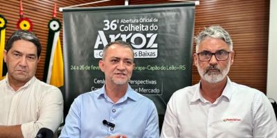 Conab anuncia mais R$ 73,6 milhões para apoiar produtores de arroz