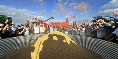 Colheita simbólica encerra 36ª Abertura do Arroz em Capão do Leão