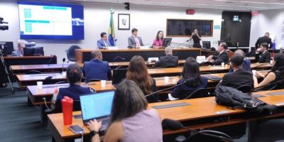 Anac defende em audiência na Câmara que passageiros indisciplinados sejam proibidos de voar 