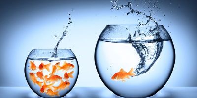 3 passos para sair da zona de conforto e aprender novas habilidades no dia a dia