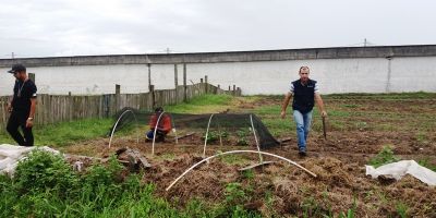 Apenados do Presídio Regional de Pelotas são inseridos em projeto de trabalho em horta